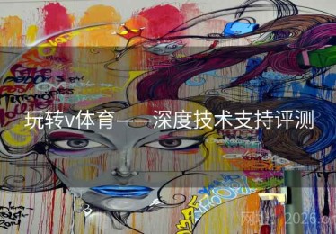玩转v体育——深度技术支持评测