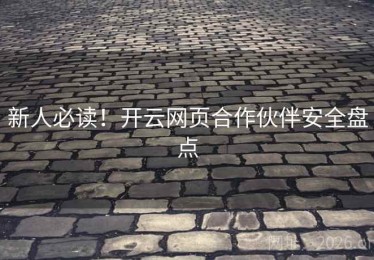 新人必读！开云网页合作伙伴安全盘点