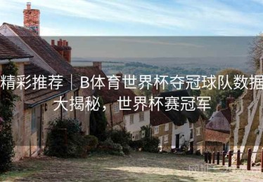 精彩推荐｜B体育世界杯夺冠球队数据大揭秘，世界杯赛冠军