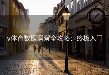 v体育数据洞察全攻略：终极入门