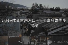 玩转v体育官网入口——丰富多端同步揭秘