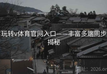 玩转v体育官网入口——丰富多端同步揭秘