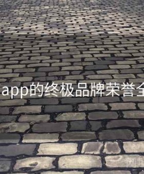 v体育app的终极品牌荣誉全解读