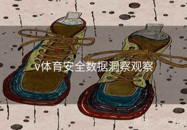 v体育安全数据洞察观察