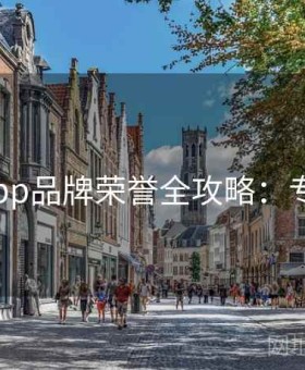 v体育app品牌荣誉全攻略：专业推荐