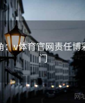 高手视角：v体育官网责任博彩创新入门