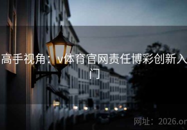 高手视角：v体育官网责任博彩创新入门