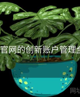 v体育官网的创新账户管理全解读