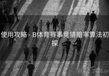 使用攻略 - B体育赛事竞猜赔率算法初探