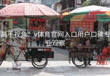 高手视角：v体育官网入口用户口碑专业观察