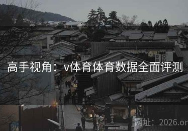 高手视角：v体育体育数据全面评测