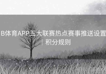 B体育APP五大联赛热点赛事推送设置｜积分规则