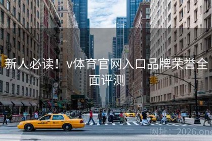 新人必读！v体育官网入口品牌荣誉全面评测