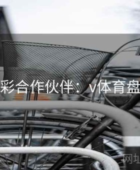 精彩合作伙伴：v体育盘点