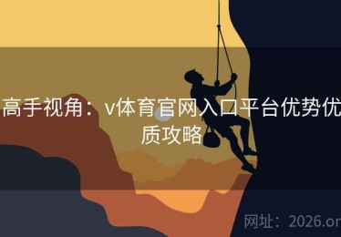 高手视角：v体育官网入口平台优势优质攻略