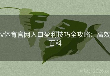 v体育官网入口盈利技巧全攻略：高效百科