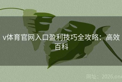 v体育官网入口盈利技巧全攻略：高效百科