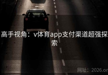 高手视角：v体育app支付渠道超强探索