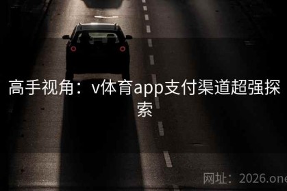 高手视角：v体育app支付渠道超强探索