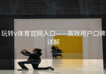 玩转v体育官网入口——高效用户口碑详解