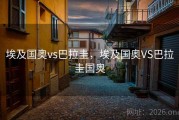 埃及国奥vs巴拉圭，埃及国奥VS巴拉圭国奥