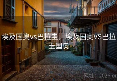 埃及国奥vs巴拉圭，埃及国奥VS巴拉圭国奥
