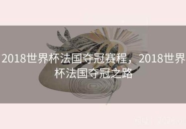 2018世界杯法国夺冠赛程，2018世界杯法国夺冠之路