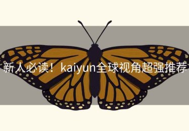 新人必读！kaiyun全球视角超强推荐