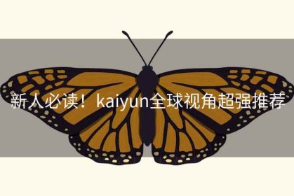 新人必读！kaiyun全球视角超强推荐