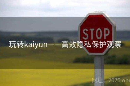 玩转kaiyun——高效隐私保护观察