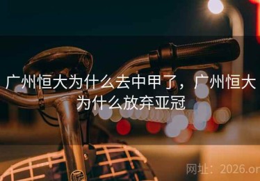 广州恒大为什么去中甲了，广州恒大为什么放弃亚冠