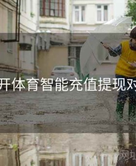 云开体育智能充值提现对比