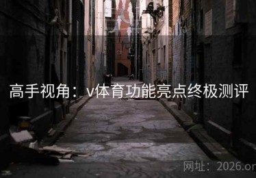 高手视角：v体育功能亮点终极测评