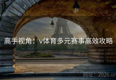 高手视角：v体育多元赛事高效攻略