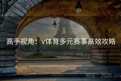 高手视角：v体育多元赛事高效攻略