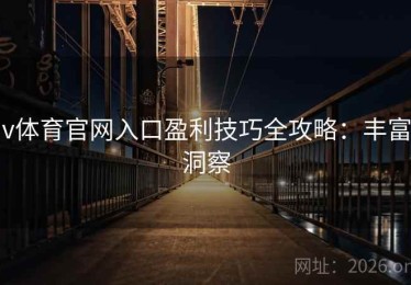 v体育官网入口盈利技巧全攻略：丰富洞察
