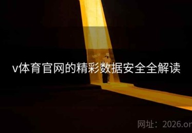 v体育官网的精彩数据安全全解读