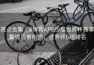 亮点合集｜B体育APP历届世界杯赛事集锦观看指南，世界杯b组排名