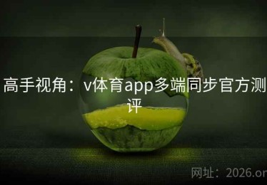 高手视角：v体育app多端同步官方测评