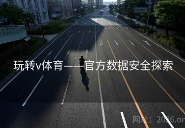 玩转v体育——官方数据安全探索
