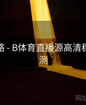 使用攻略 - B体育直播源高清稳定性评测