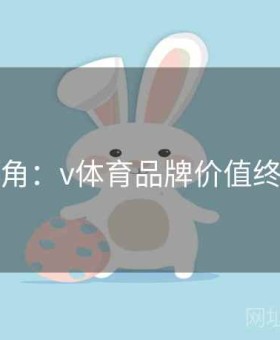 高手视角：v体育品牌价值终极指南