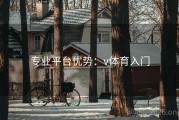 专业平台优势：v体育入门