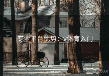 专业平台优势：v体育入门