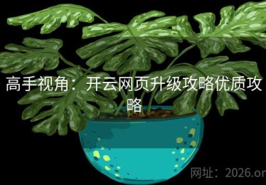 高手视角：开云网页升级攻略优质攻略