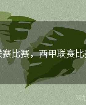 西甲联赛比赛，西甲联赛比赛用球