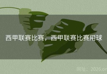 西甲联赛比赛，西甲联赛比赛用球