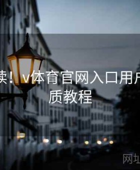 新人必读！v体育官网入口用户体验优质教程