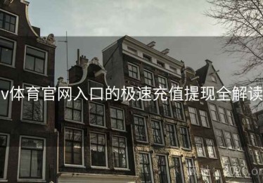 v体育官网入口的极速充值提现全解读