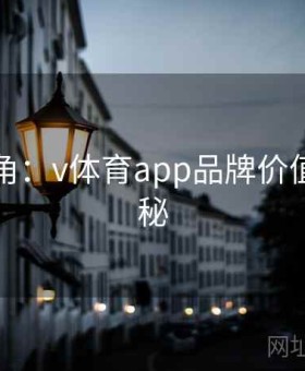 高手视角：v体育app品牌价值创新揭秘